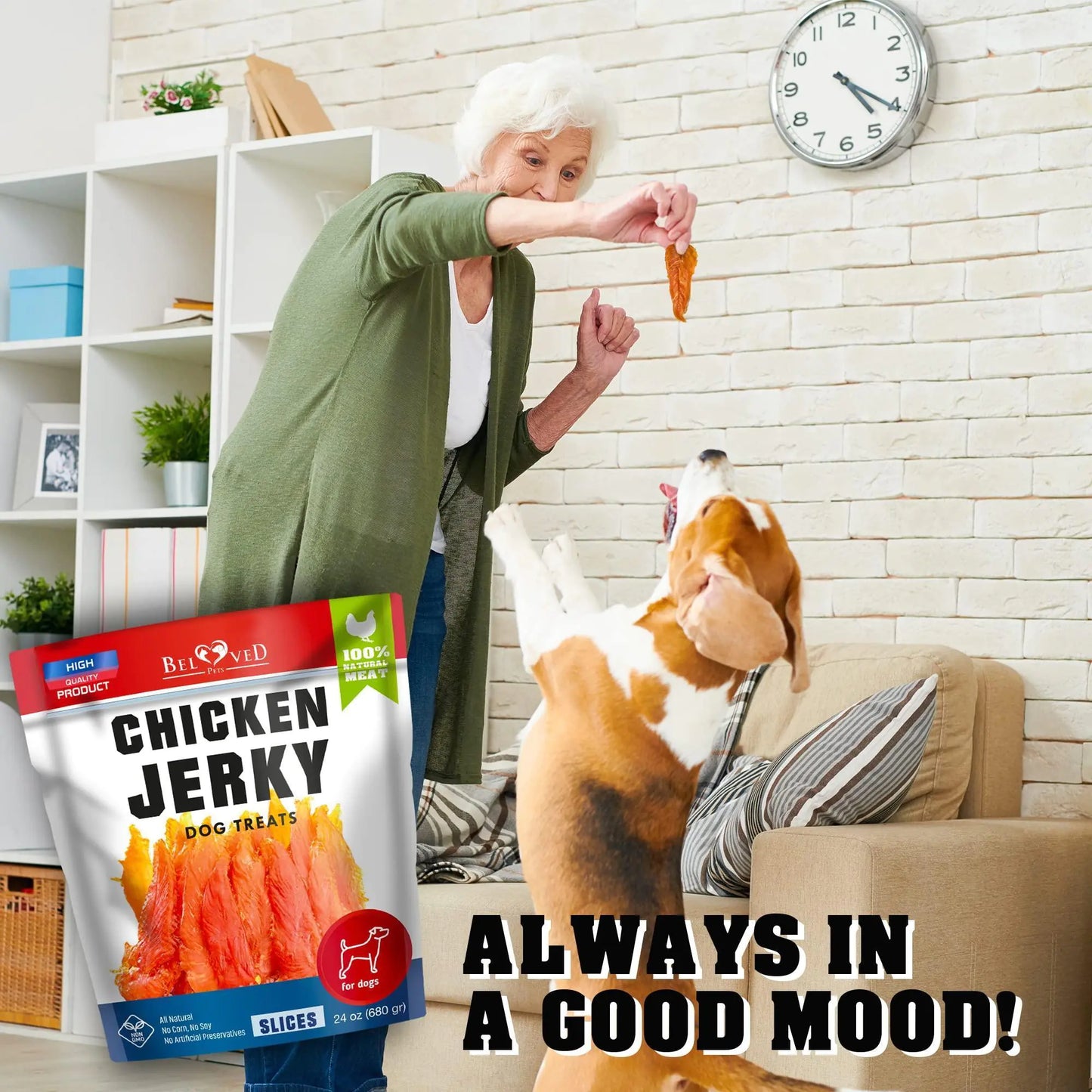 Chicken Jerky Dog Treats – 1.5 lb Grain-Free Natural Dog Snacks – High-Protein Chewy Treats