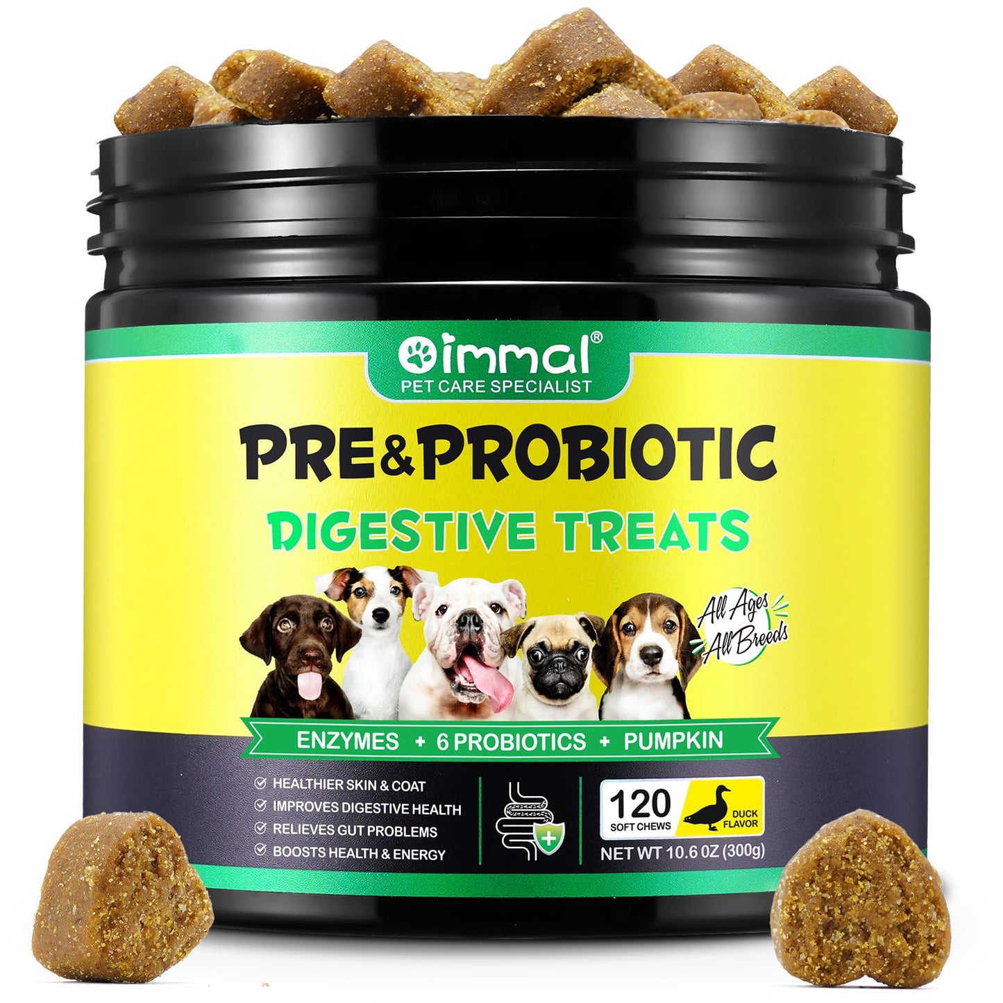 Probiotics & Enzymes for Dogs – Digestive & Immune Support