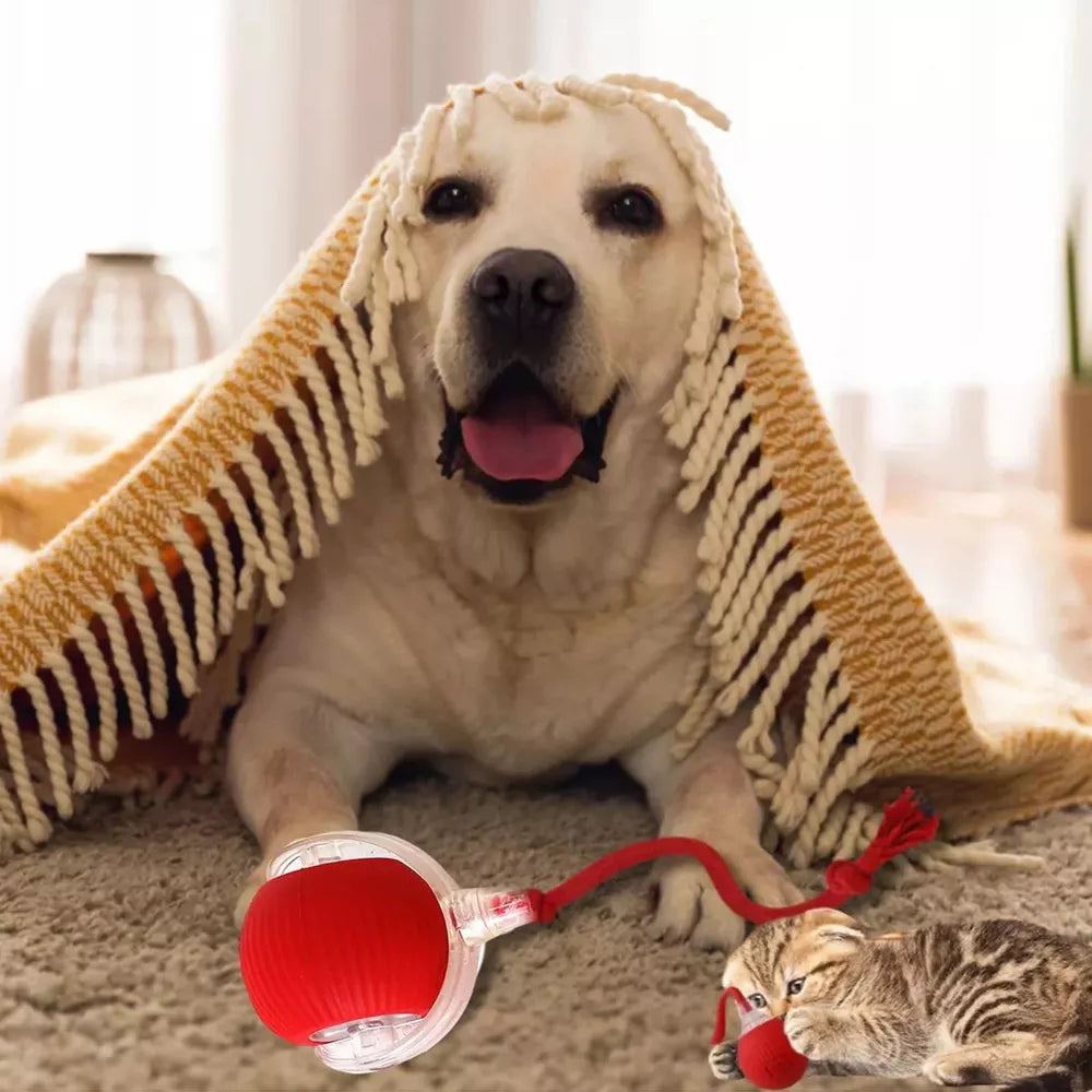 Juguete Interactivo For Gatos Rolando Smart Ball