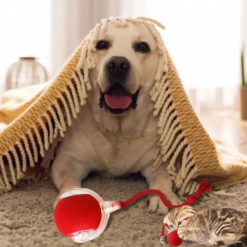 Juguete Interactivo For Gatos Rolando Smart Ball