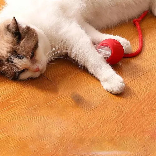 Juguete Interactivo For Gatos Rolando Smart Ball
