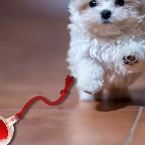 Juguete Interactivo For Gatos Rolando Smart Ball