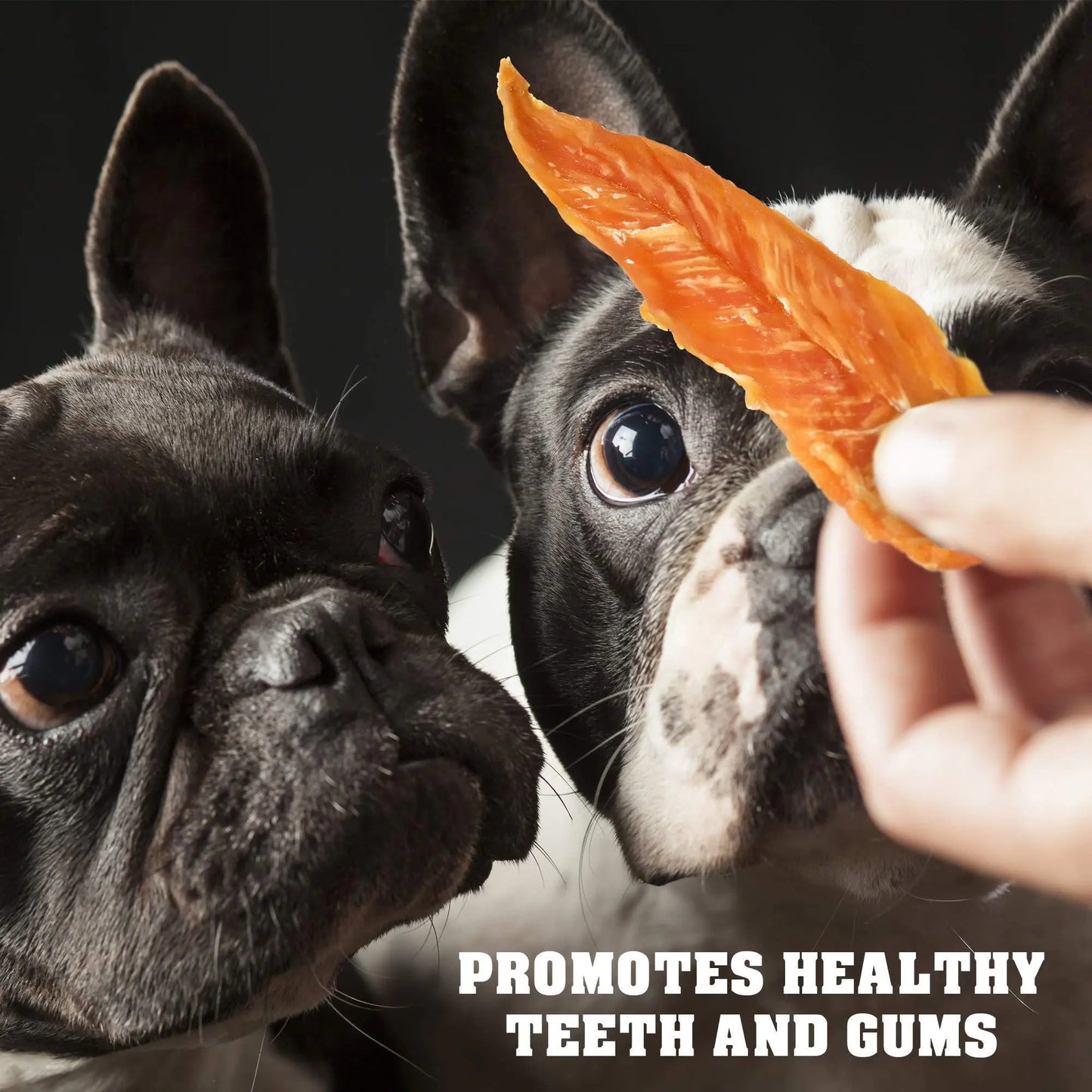 Chicken Jerky Dog Treats – 1.5 lb Grain-Free Natural Dog Snacks – High-Protein Chewy Treats