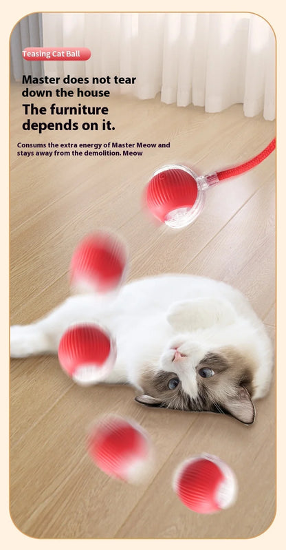 🐾Smart Pet Rolling Ball🧶🐱 ( BUY 2 GET 1 FREE )