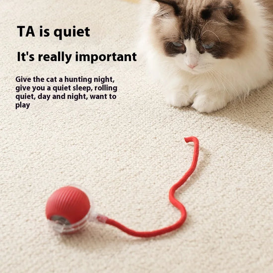🐾Smart Pet Rolling Ball🧶🐱 ( BUY 2 GET 1 FREE )