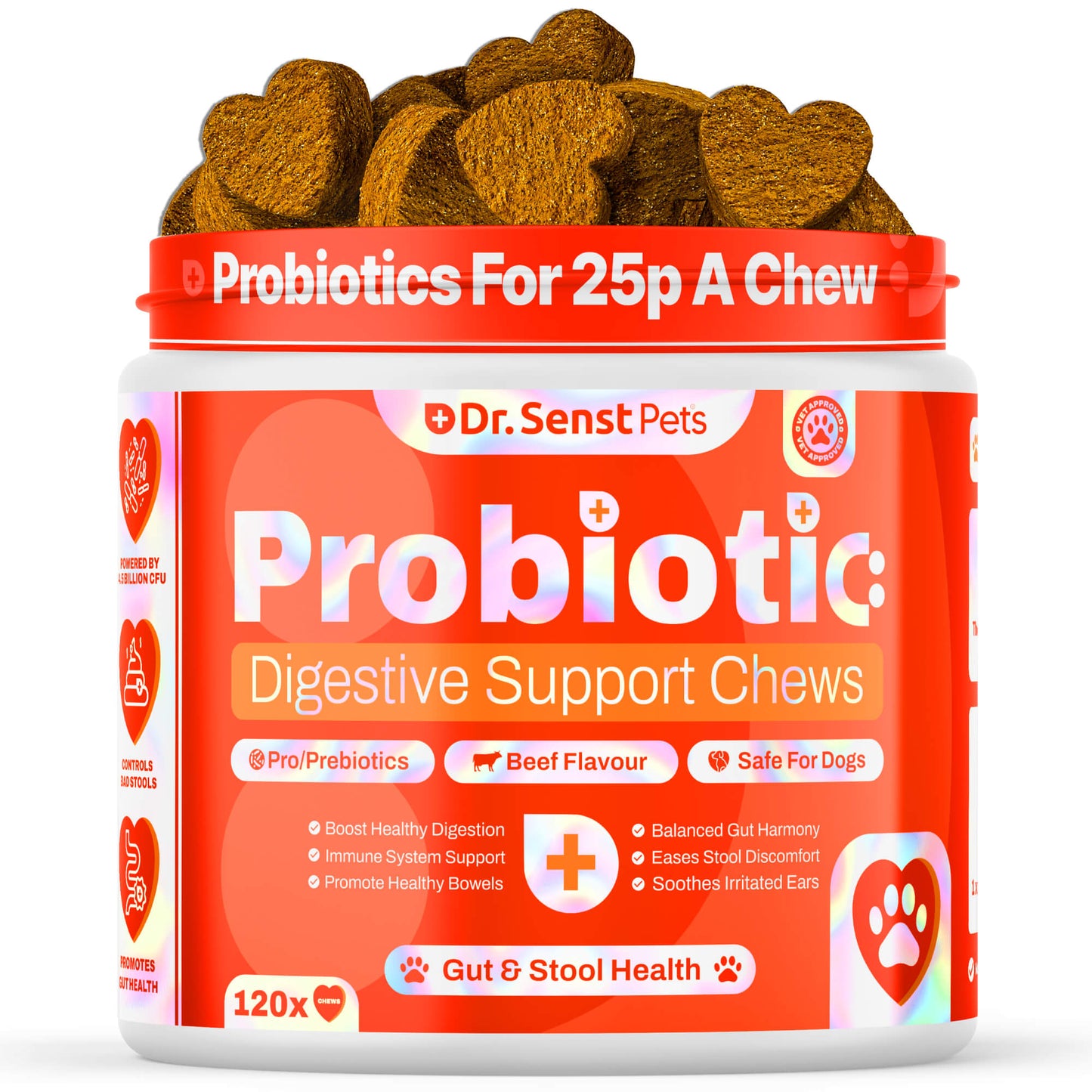 Probiotics & Enzymes for Dogs – Digestive & Immune Support