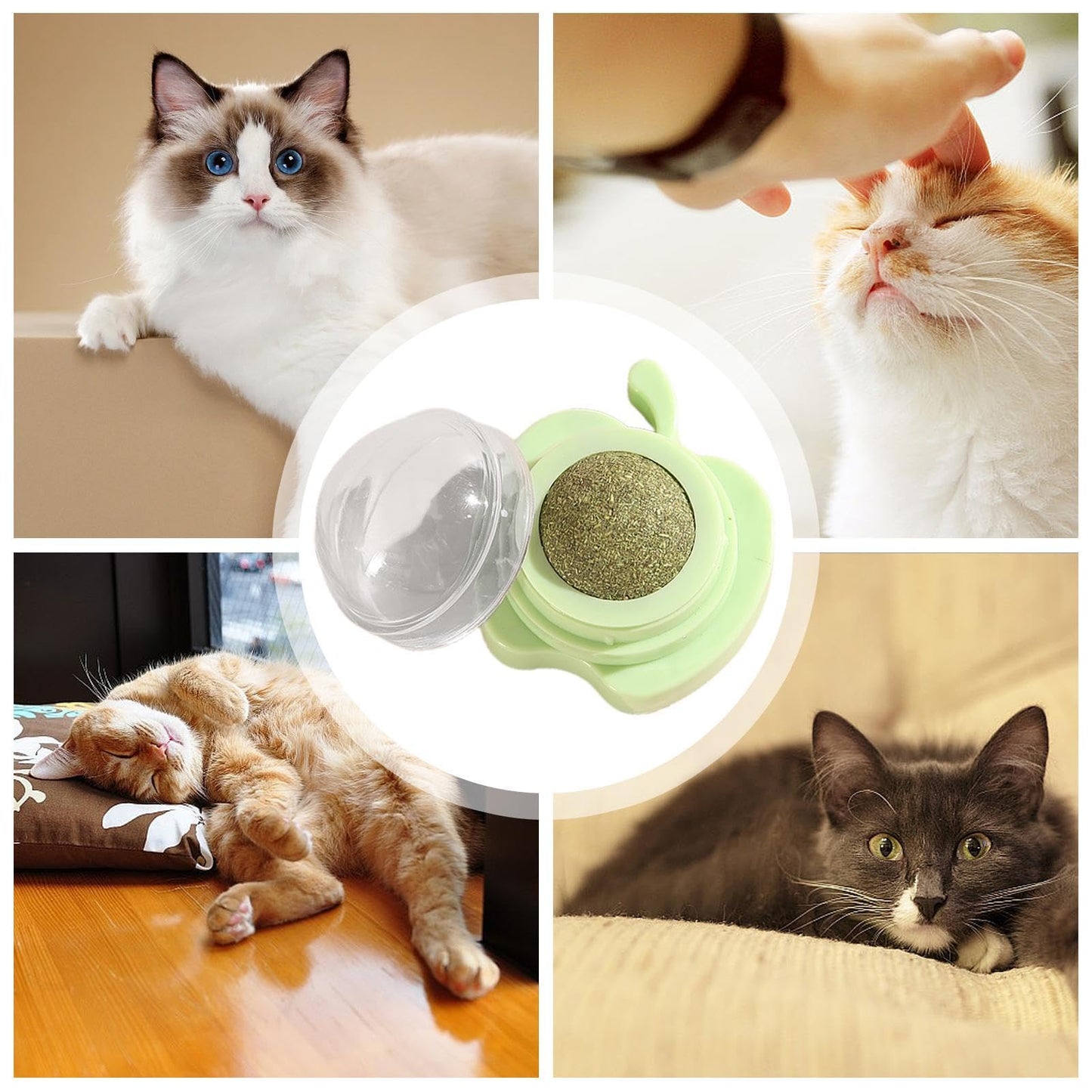 Cat Energy Ball with Catnip – Healthy Treat for Cats