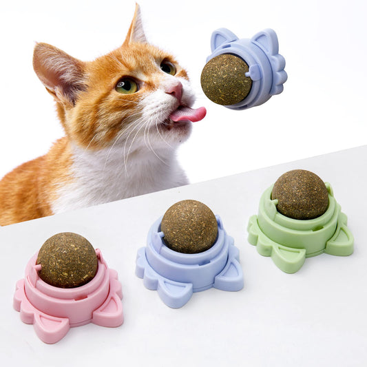 Cat Energy Ball with Catnip – Healthy Treat for Cats