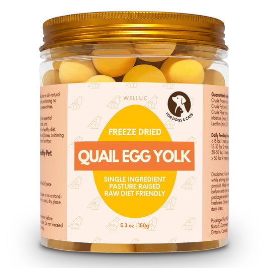 Freeze-Dried Egg Yolk Cat Snacks – Nutrient-Rich Treat (100g)