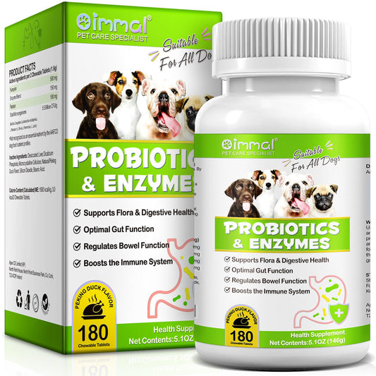 Probiotics & Enzymes for Dogs – Digestive & Immune Support