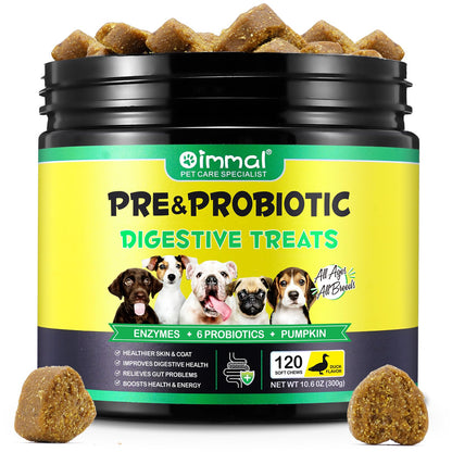 Probiotics & Enzymes for Dogs – Digestive & Immune Support