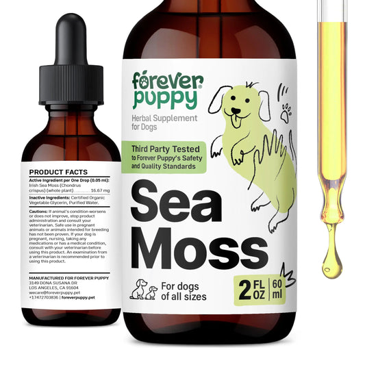 Irish Sea Moss Drops for Dogs – Thyroid Support & Energy – Liquid Dog Vitamins – 2 oz