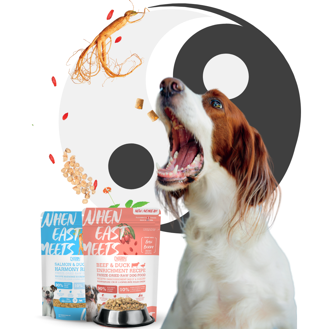 Dog Snacks – Beef & Rice Mix Training & Dental Care Treats