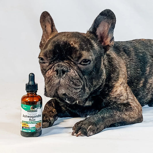 Pet Nutrition Supplements – Energy & Vitality Boost for Cats & Dogs