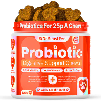 Probiotics & Enzymes for Dogs – Digestive & Immune Support